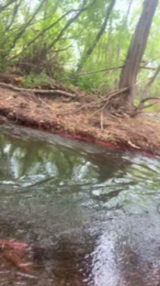 Laoquedad webcam model stream image