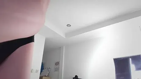 TrES-2b webcam model stream image