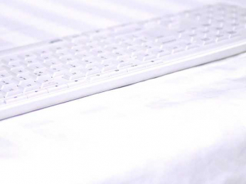 RobertaRosetti webcam model stream image