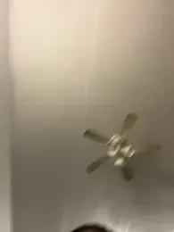 bigdick5157 webcam model stream image