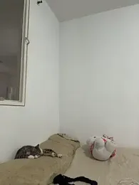 aliciia_23 webcam model stream image