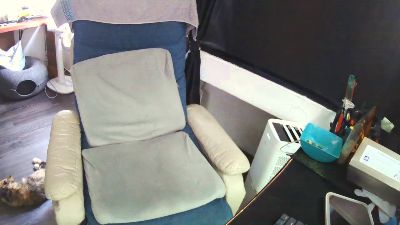 zeenfan webcam model stream image