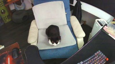 zeenfan webcam model stream image