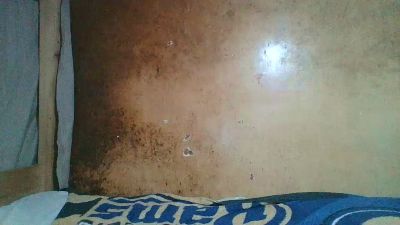 Niceclit webcam model stream image