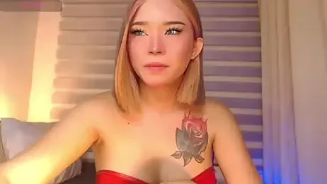 AmberNovoaa webcam model stream image