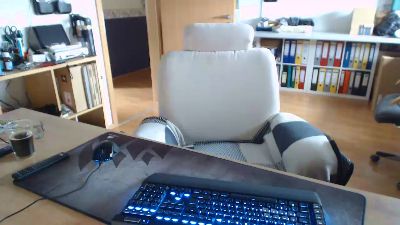 BibearNds webcam model stream image