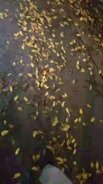 jonny699991 webcam model stream image