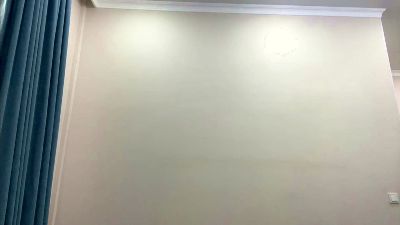 ThanhElbe webcam model stream image