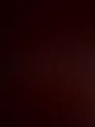 hiromu53 webcam model stream image