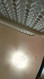 Kelmts webcam model stream image