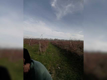 ___Pypsiki___ webcam model stream image