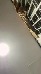 Atenea_gal webcam model stream image