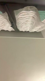 prost6 webcam model stream image