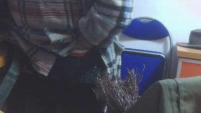 txintxo webcam model stream image