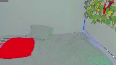 COUPLE_2533 webcam cam4 model stream image