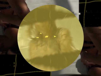 seilyfox webcam model stream image