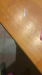 dalasal1 webcam model stream image