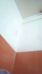 TONI_XL webcam model stream image