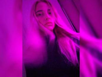 Soc13 webcam model stream image
