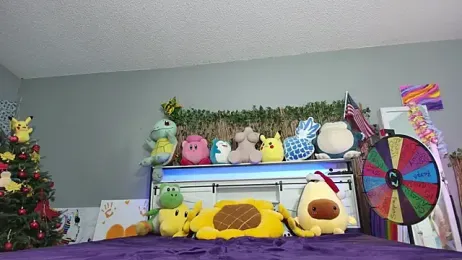 syndica_ webcam model stream image