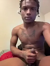 tre512 webcam model stream image