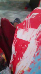 IrmaosPutao webcam model stream image