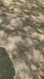 Sugar_boy_89_ webcam model stream image