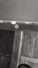 peline4 webcam model stream image