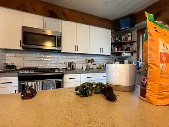 MissSwitch webcam model stream image