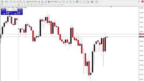 Trading_business webcam model stream image