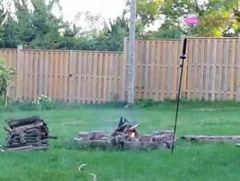 ells_palace webcam model stream image