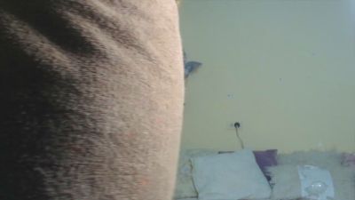 lia_lovex18 webcam model stream image