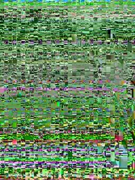 A_girla webcam model stream image