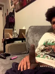 Insurance-03 webcam model stream image