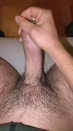 Gallumbero2 webcam cam4 model stream image