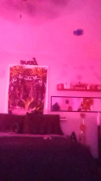 ittybitty_sexy webcam model stream image