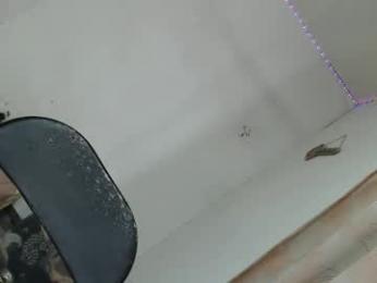 shanegreents webcam model stream image