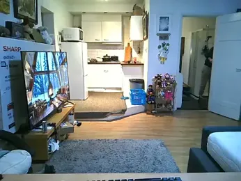 mihaimichael webcam model stream image