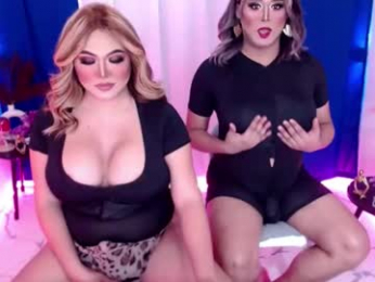 10incheskinkynastytrans webcam model stream image