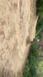 MadridManotas webcam model stream image