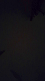 MyMel625 webcam model stream image