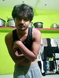 desi_land448 webcam model stream image