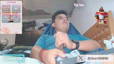 thor496 预览图