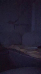 dynamo25 webcam model stream image