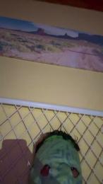 hottyboy1o webcam model stream image