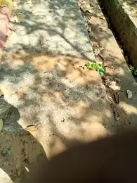 Bnglrmallu_aachujos webcam model stream image