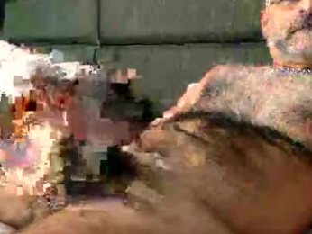 vpc webcam model stream image