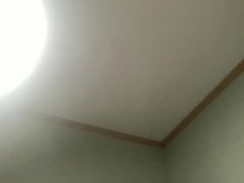 charlotte_blue2 webcam model stream image