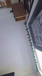 LizzieBlack webcam model stream image