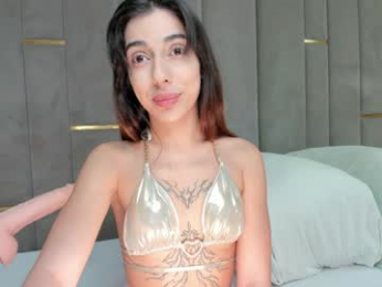 evalims webcam model stream image